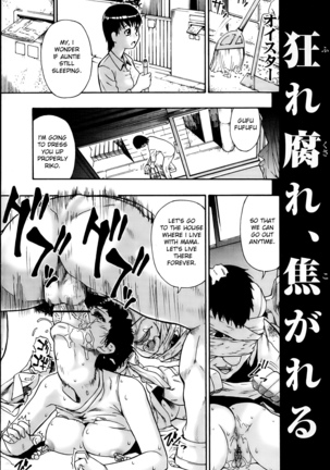 Mesubuta Kuragari no Nikukai Page #161