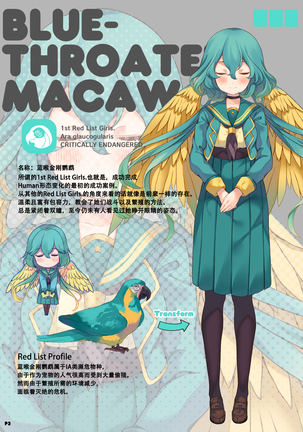 MACAW;EDUCATION