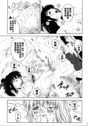 FF嬲 2 （Chinese） - Page 27