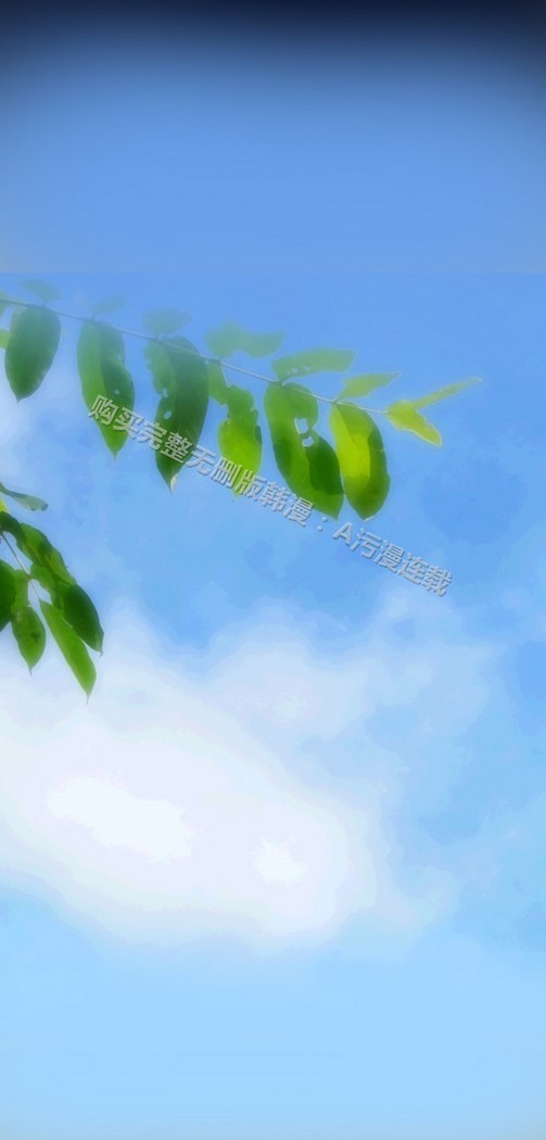 亚哈路 第1季