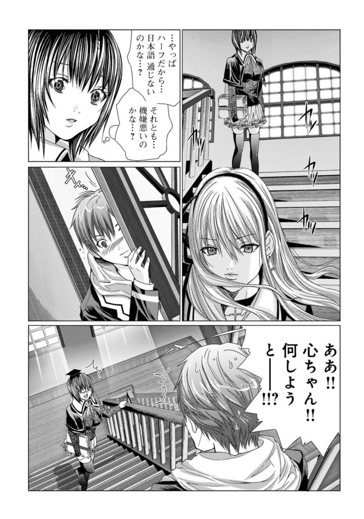 Holy Knight vol1