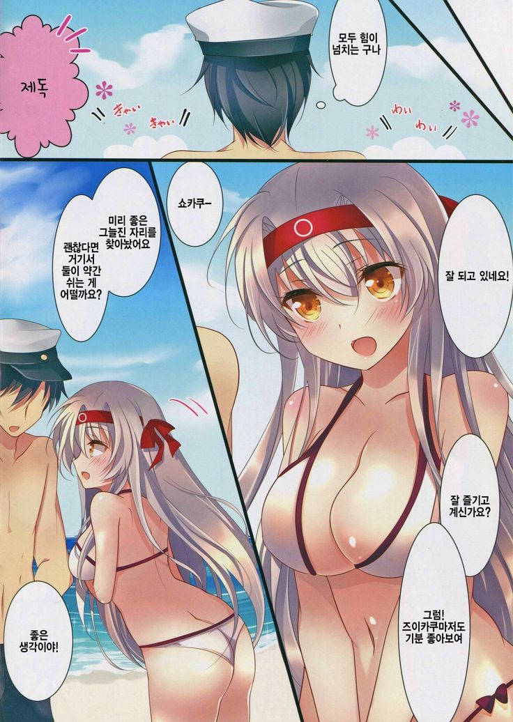 Mizugi no Shoukaku-san wa Ikaga?