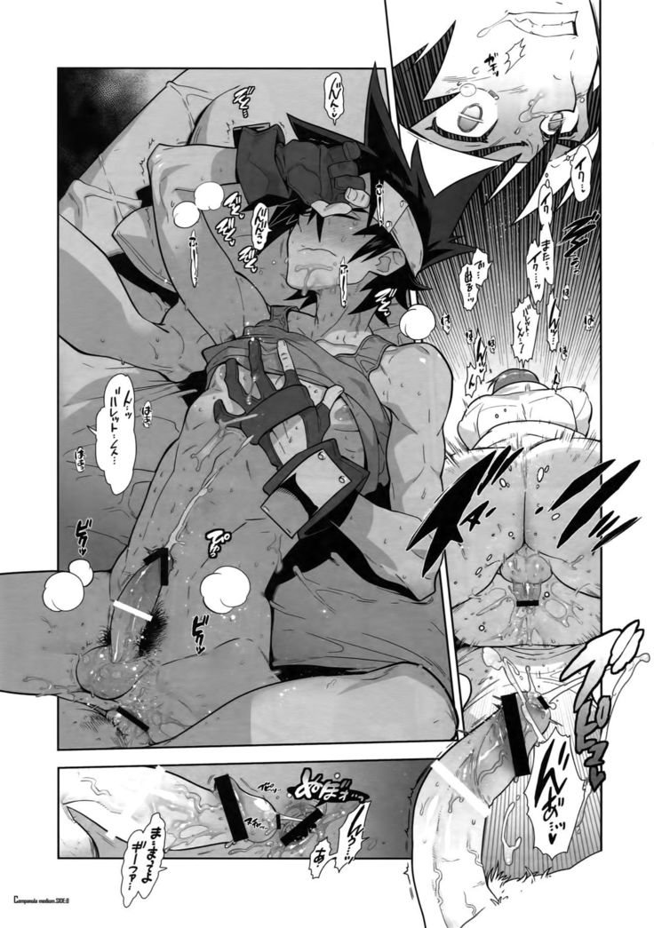 Shinrabanshou Josei Muke Doujinshi Sairokushuu