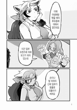 Image 8518058