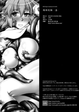 (C91) [Kougeki (Ootsuki Wataru) Hashihime Shinshoku -Shichi- (Touhou Project) [English] [desudesu] Page #25