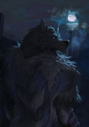 Image 13166181