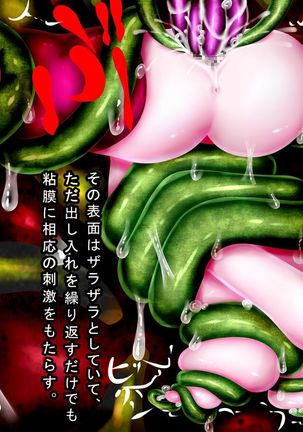 装滅のエレシア～敗北、そして陵辱、無限絶頂の果て、鋼の少女はメス肉に堕ち - Page 115
