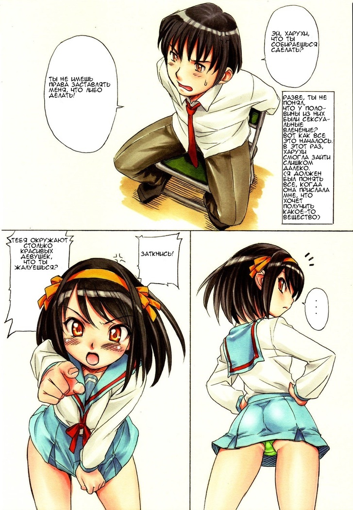 Suzumiya Haruhi no Nisemono
