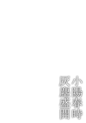 Image 11274192