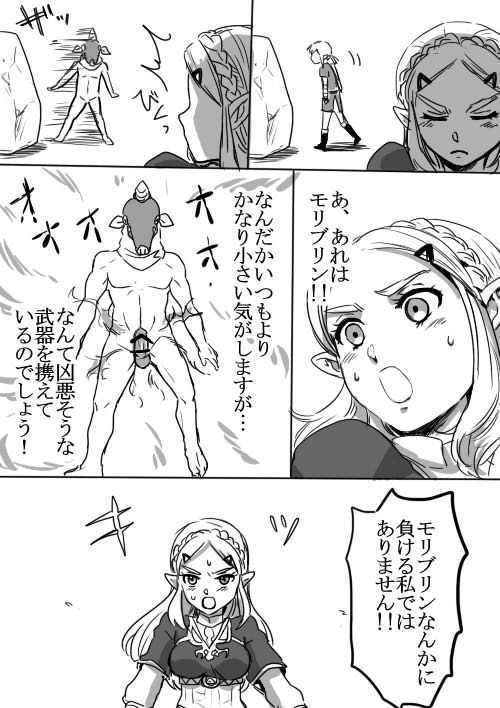 リンクとゼルダの初心者に優しいせっくす入門