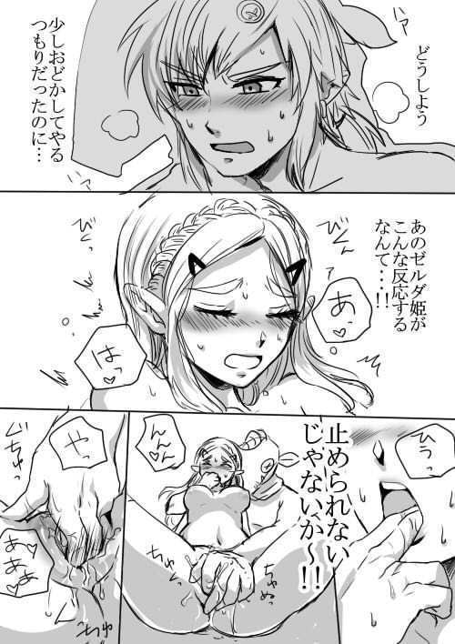 リンクとゼルダの初心者に優しいせっくす入門