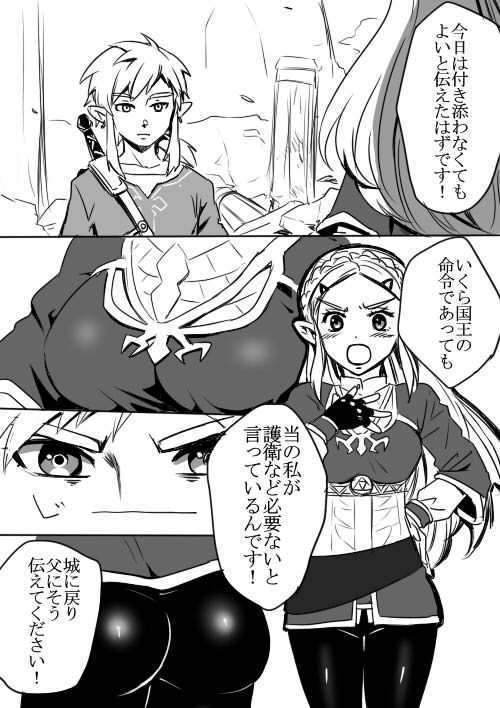 リンクとゼルダの初心者に優しいせっくす入門