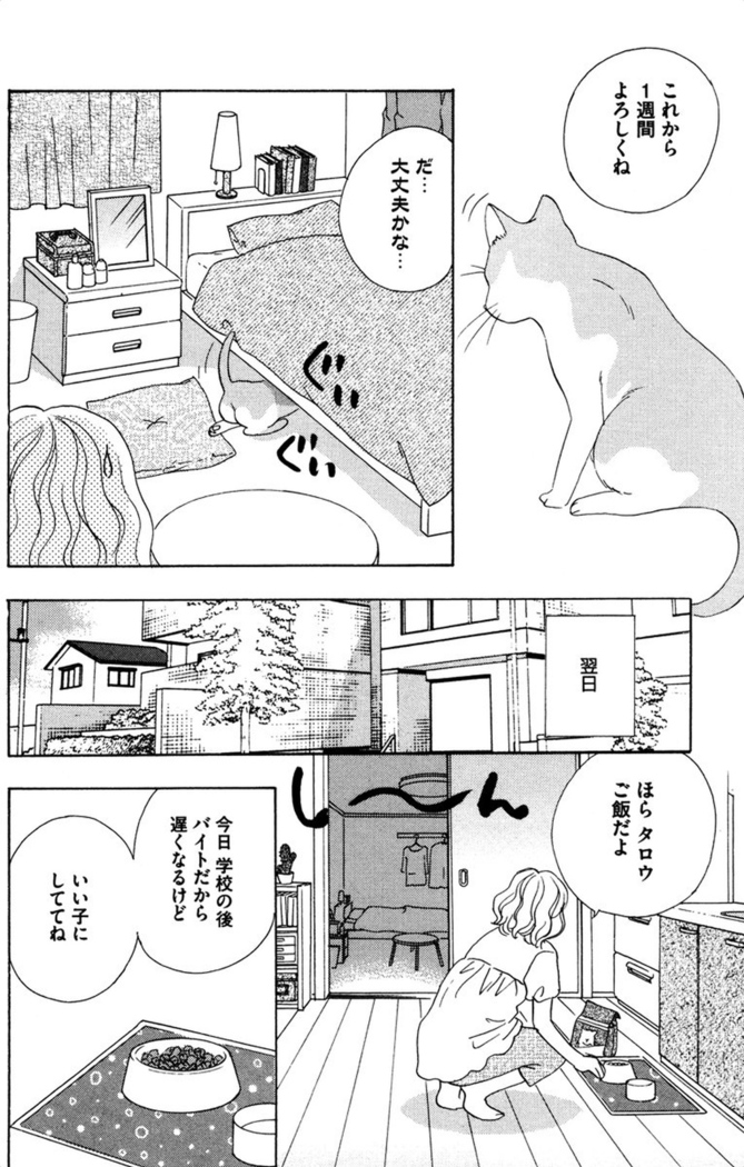 Oniichan to love Night