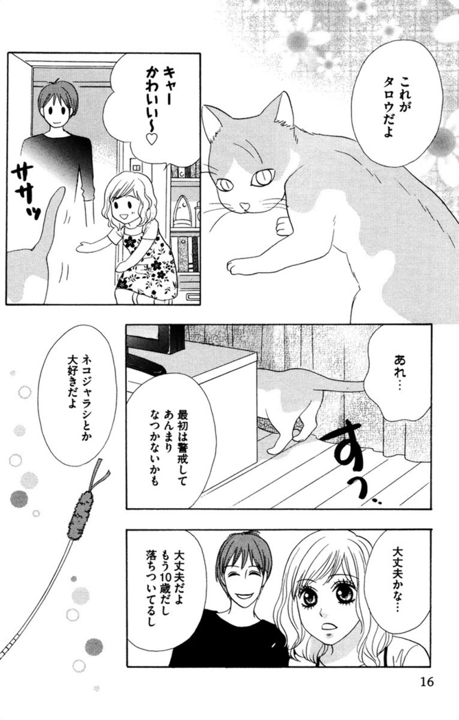 Oniichan to love Night