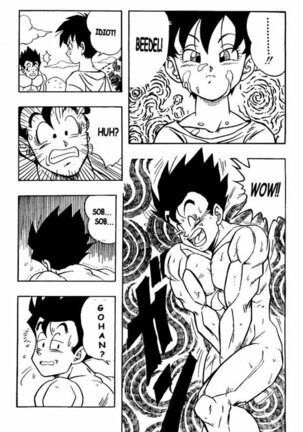 Dragon Ball H 03 Page #14