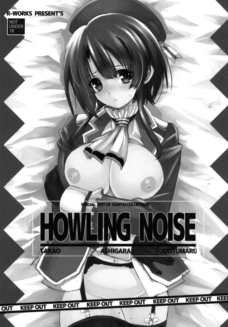 HOWLING NOISE