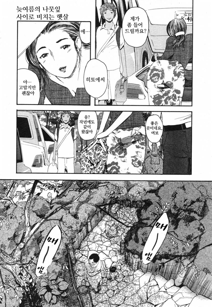 Banka No komorebi