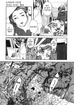 Banka No komorebi