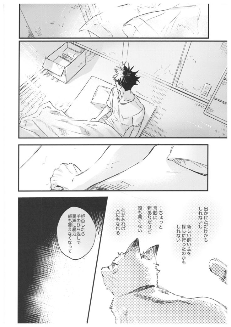 FUSHI TO NEKO