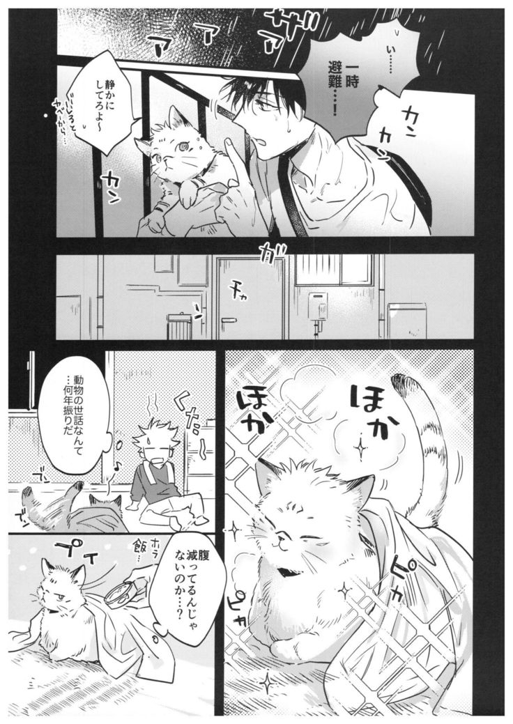 FUSHI TO NEKO