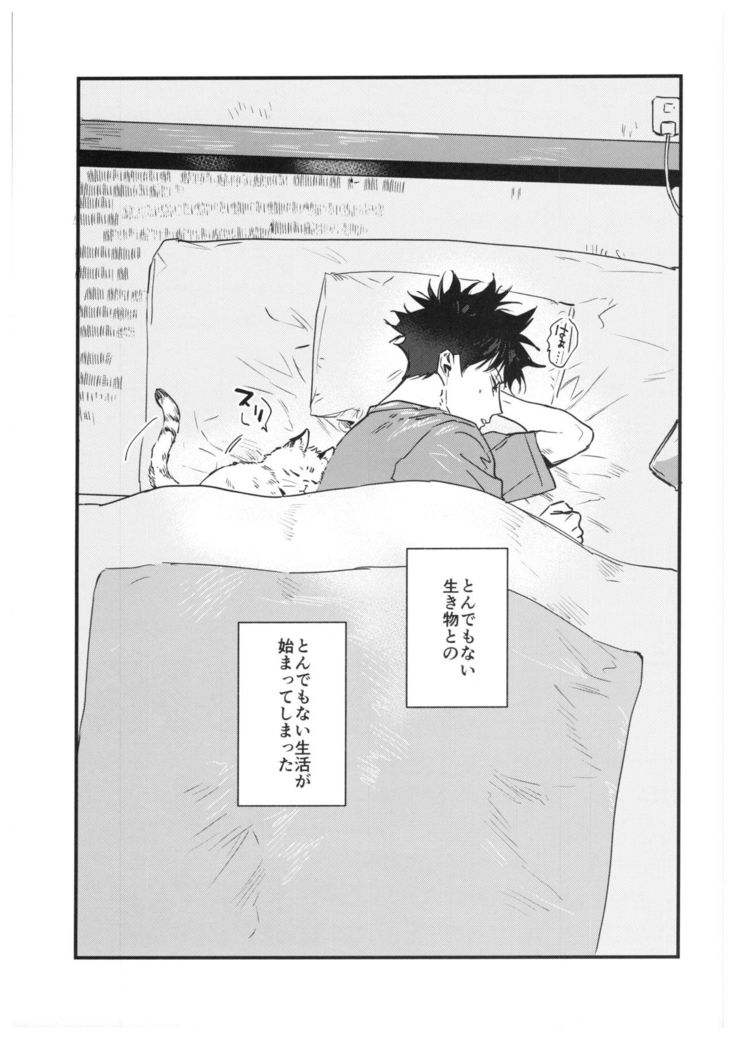 FUSHI TO NEKO