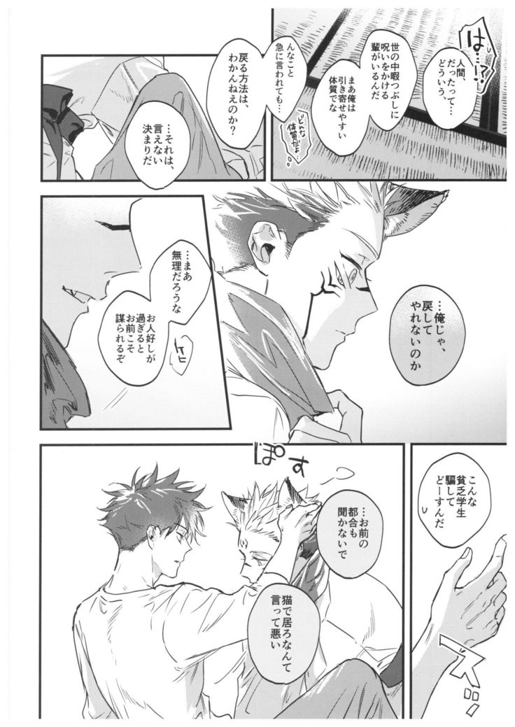 FUSHI TO NEKO