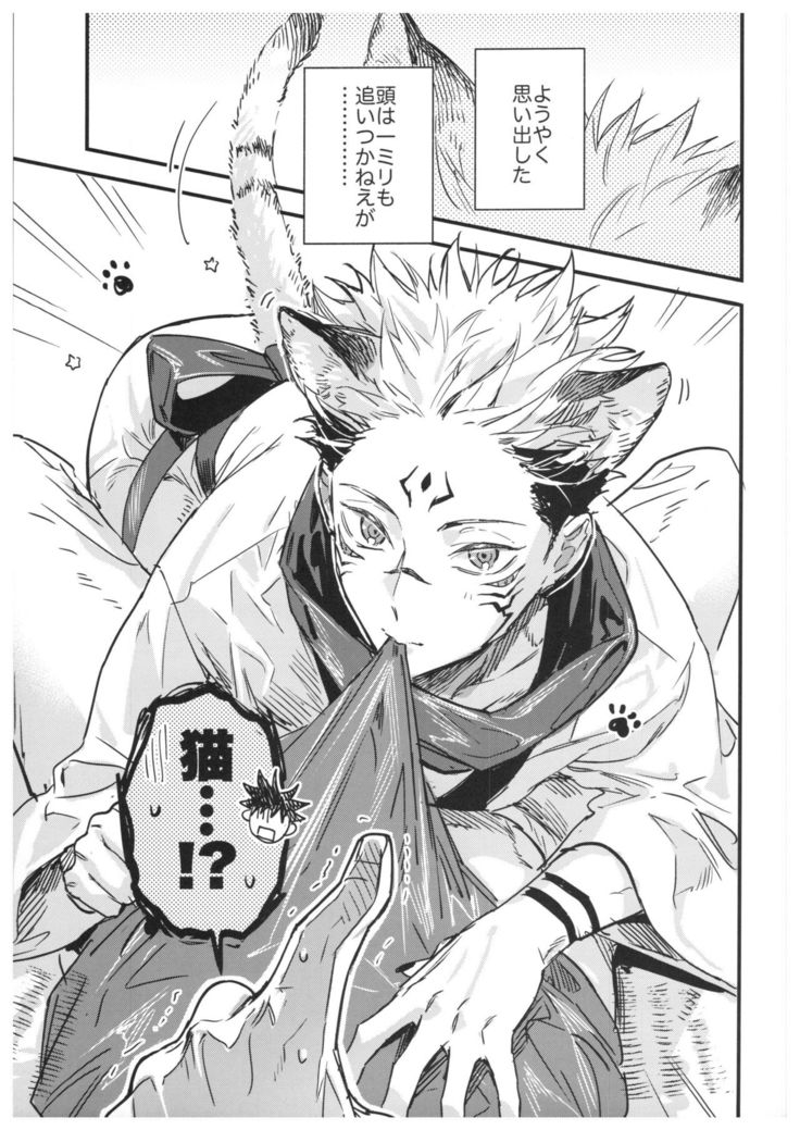 FUSHI TO NEKO