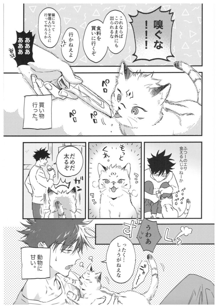 FUSHI TO NEKO