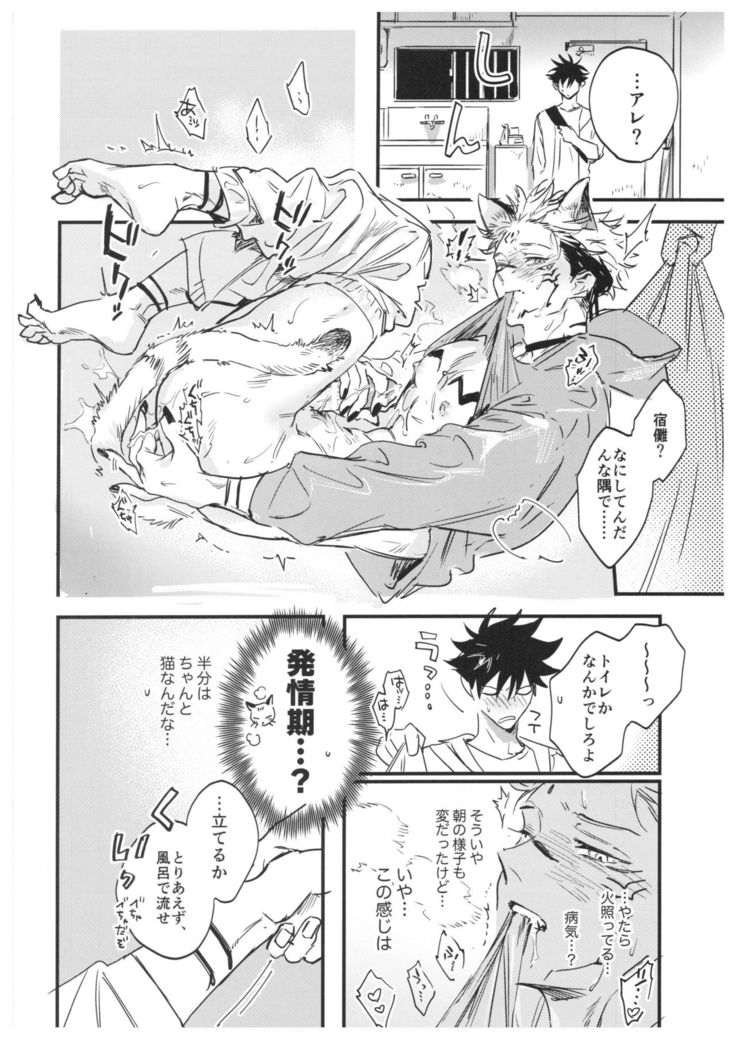 FUSHI TO NEKO