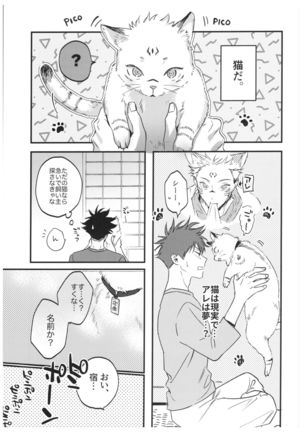 FUSHI TO NEKO - Page 17