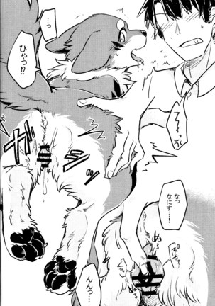 Image 3609700