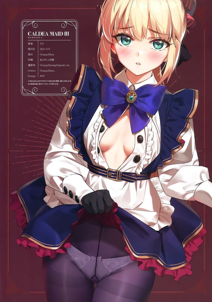 Chaldea Maid III