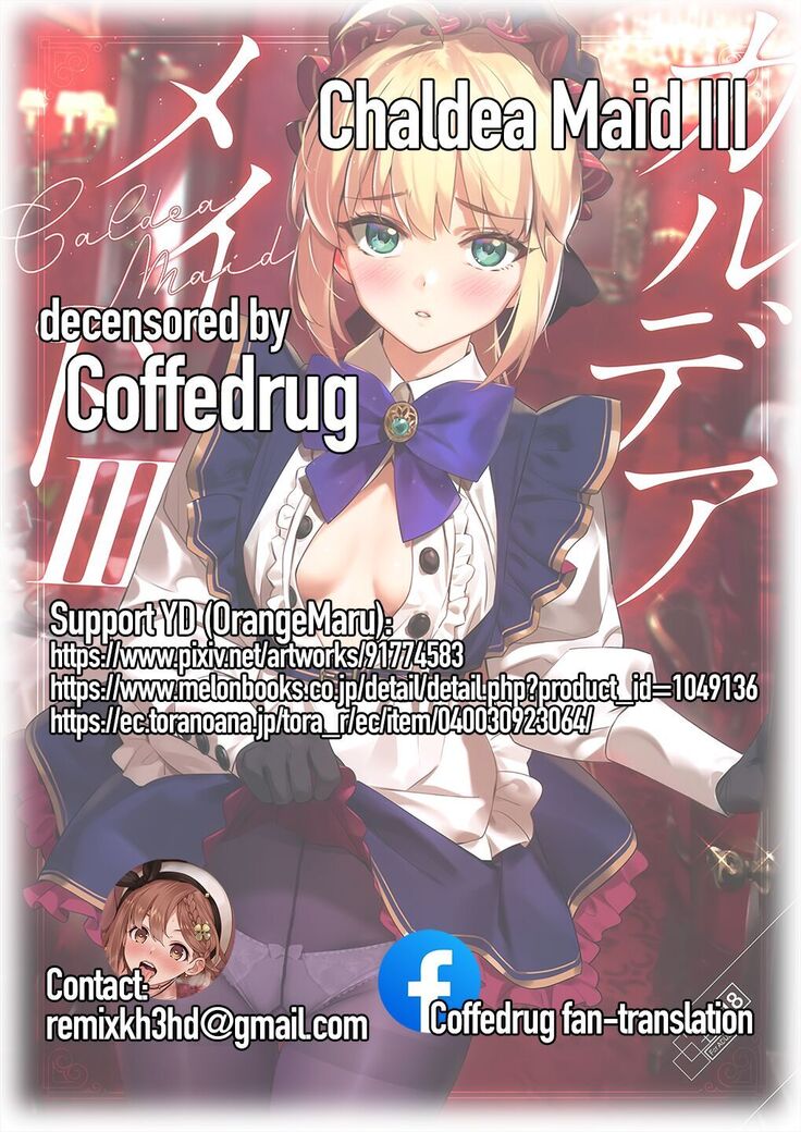 Chaldea Maid III