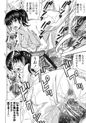 Danchizuma no Yuuwaku Page #87