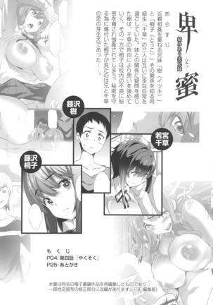 Himitsu 04 "Yakusoku" - Page 3
