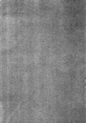 Image 6397806