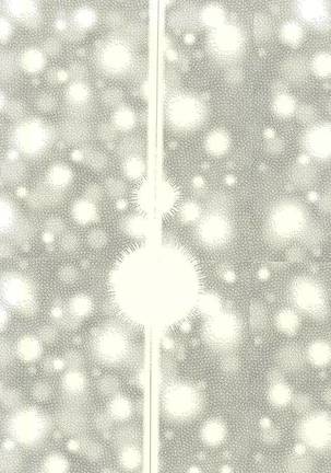 Image 3580858