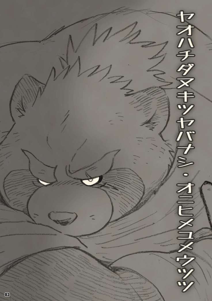 Eight hundred eight raccoon
