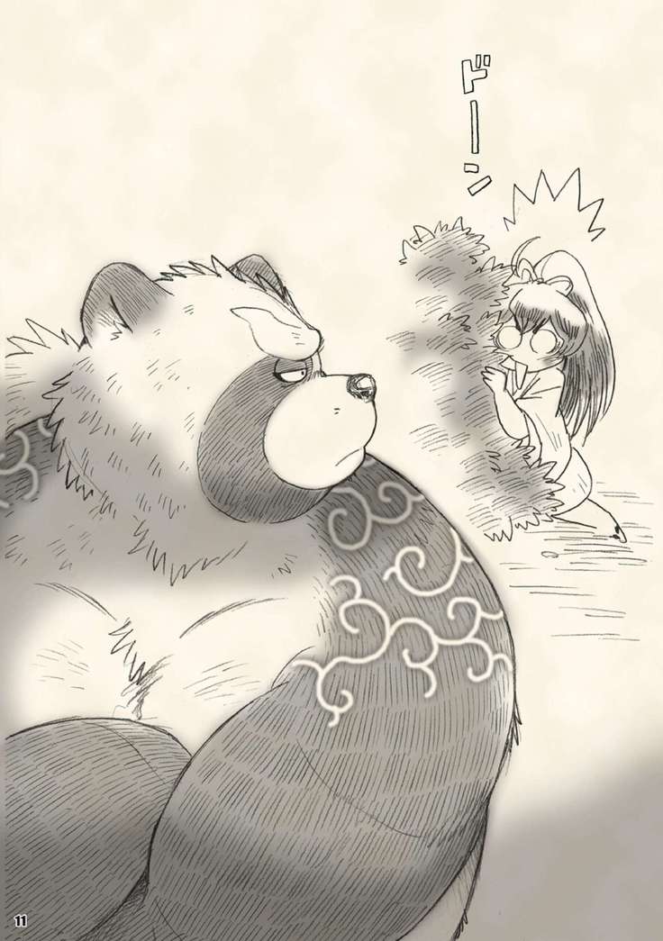 Eight hundred eight raccoon