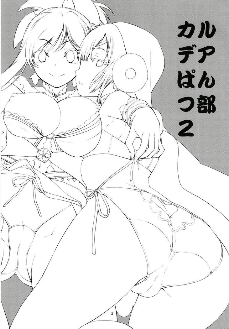 Chaldea Pants-bu 2