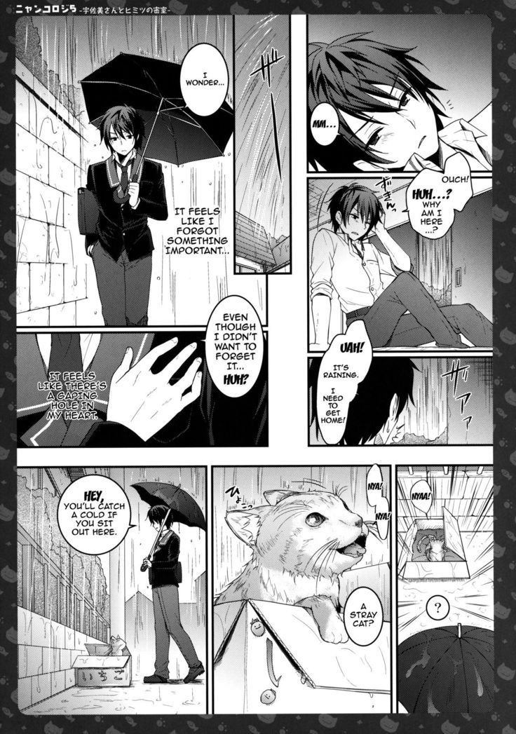 Nyancology 5 -Usami-san to Himitsu no Misshitsu- | Nyancology 5 -Usami-san And The Secret Room-