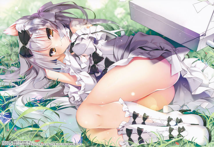 CurioGirl's 2