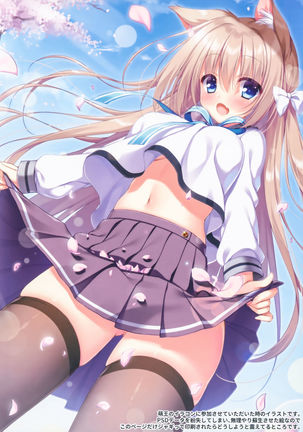 CurioGirl's 2