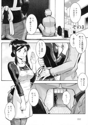 Hitozuma Shinchiku Mansion Page #51