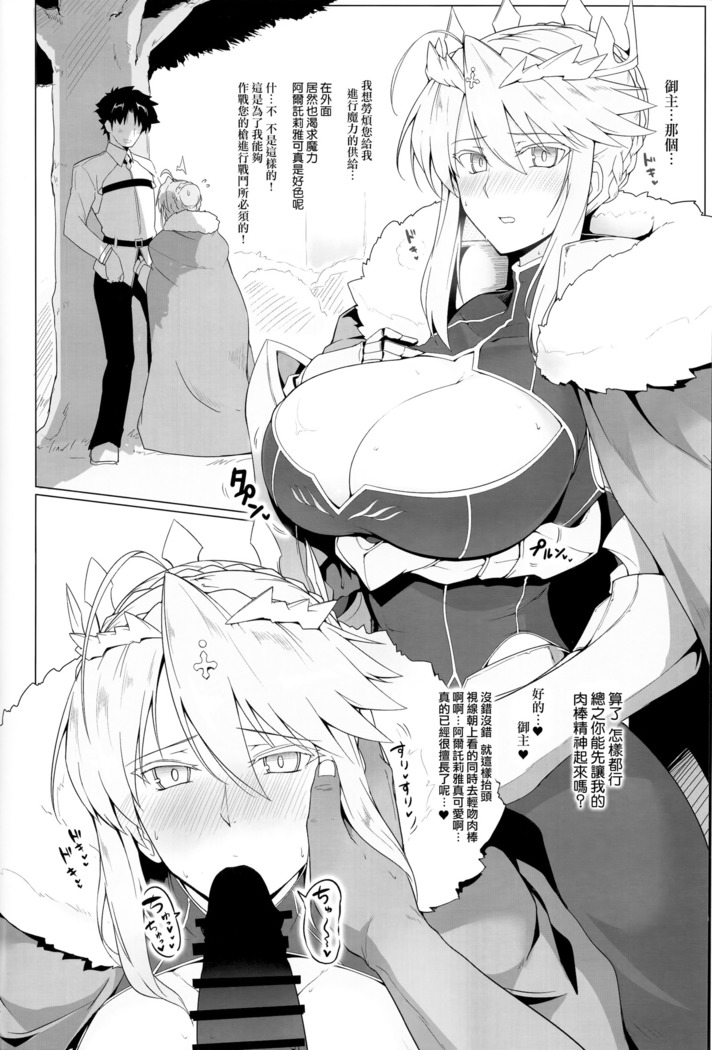 Chaldea Shiko Shiko Material Vol. 1