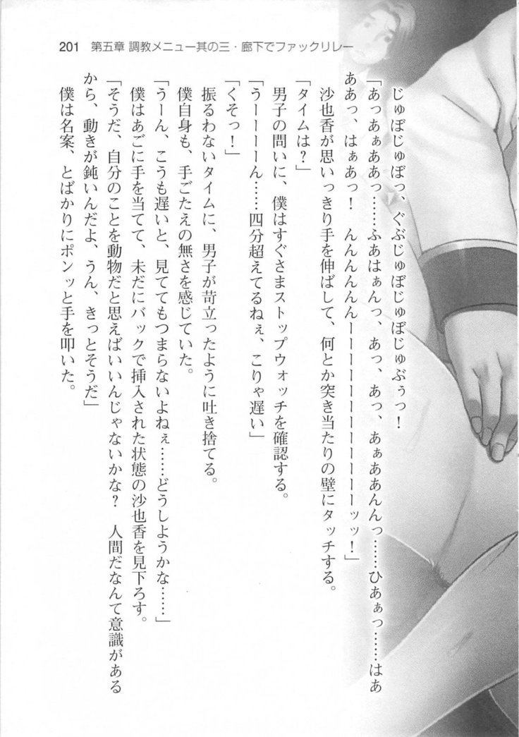 輪姦媚薬中毒 -逃げ場無し！1428人の生徒全員にSEXされる令嬢沙也香-