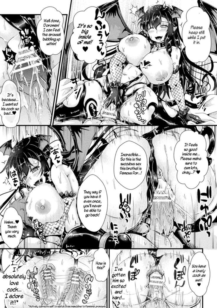 Nyotaika Kishi no Junan Inma Baishunfu Ochi | The Passion of the Feminized Knight/Fallen Succubus Whore