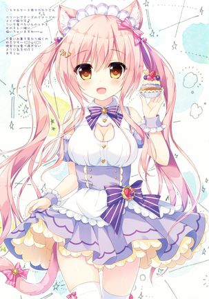 Maid Blanc wa Ikaga desu ka? Page #13