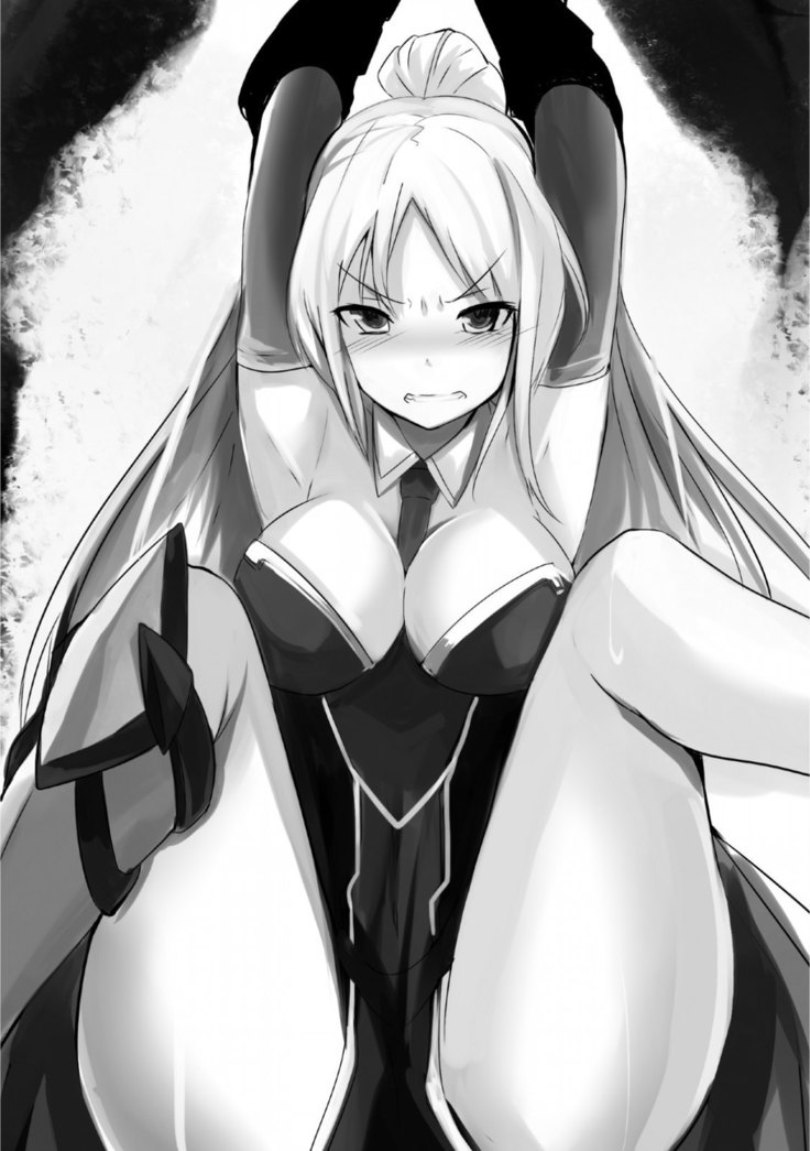 姫騎士がクラスメート！ 第01巻