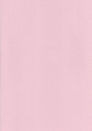 Image 9530734